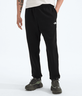 The North Face | Men’s Evolution Simple Dome Regular Joggers