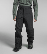 The North Face | Men’s Freedom Pants