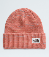 The North Face | Salty Bae Lined Beanie