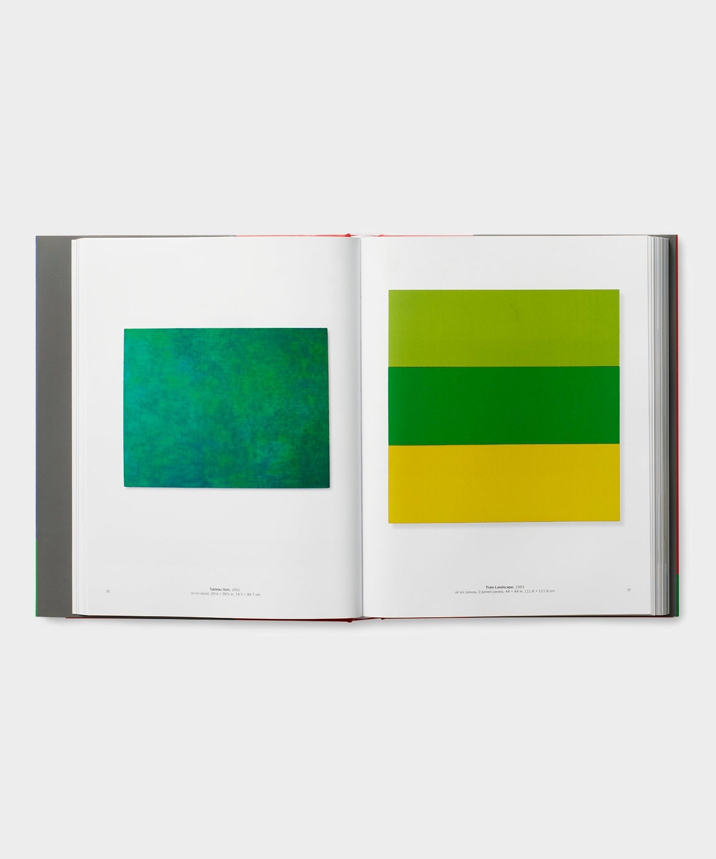 Todd Snyder Phaidon "Ellsworth Kelly" Book Multi