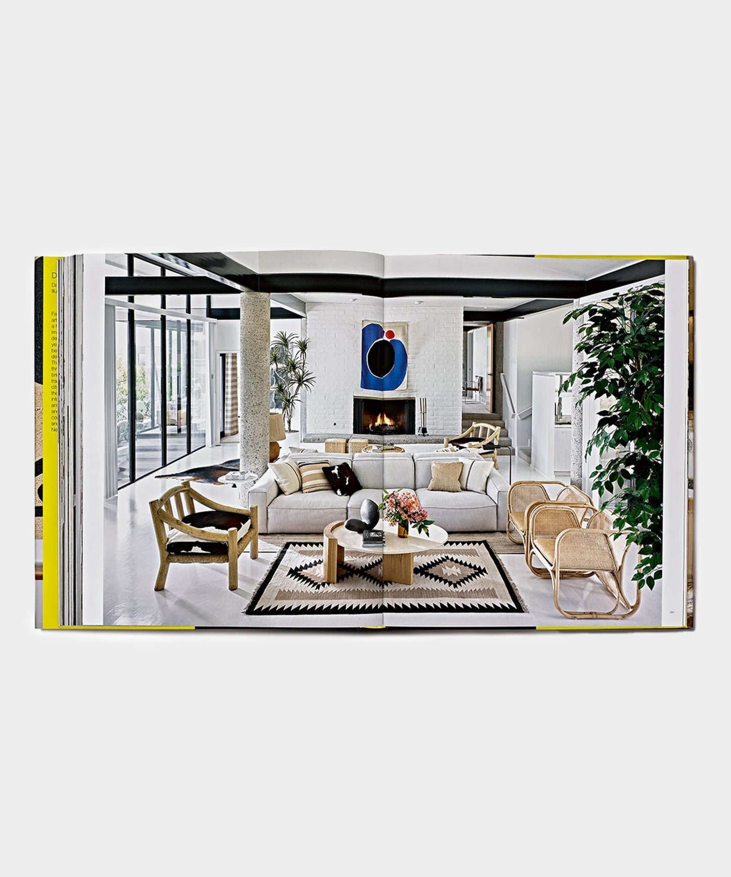 Todd Snyder Phaidon "David Netto" Book Multi