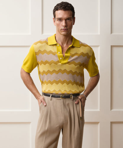 Todd Snyder Charters Sweater Polo in Craspedia Chevron Craspedia