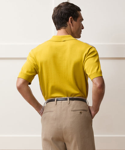 Todd Snyder Charters Sweater Polo in Craspedia Chevron Craspedia