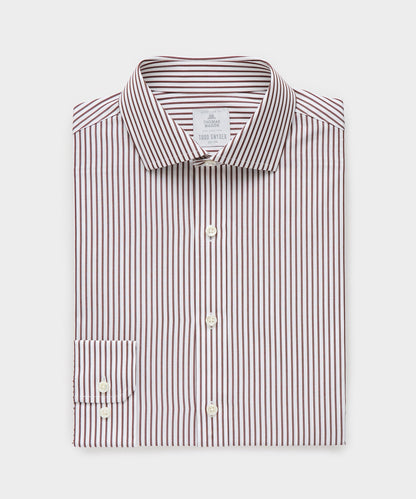 Todd Snyder End-on-End Poplin Dress Shirt in Brown Stripe Brown