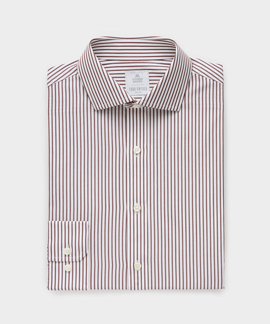 Todd Snyder End-on-End Poplin Dress Shirt in Brown Stripe Brown
