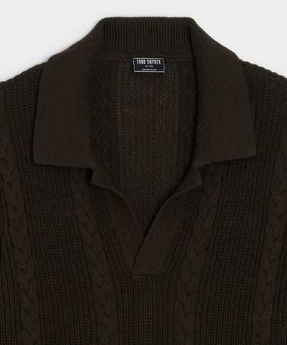 Todd Snyder Beechwood Cable Knit Sweater Polo in Caviar Caviar