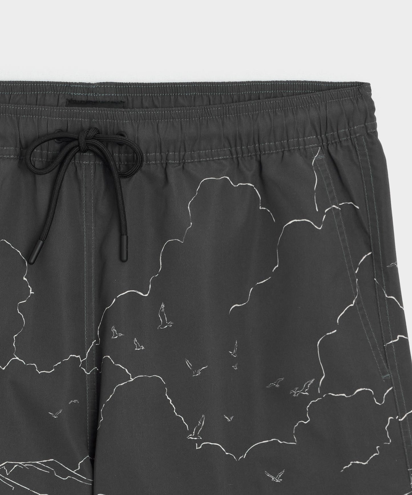 Todd Snyder 5" Montauk Swim Trunk in Black Black