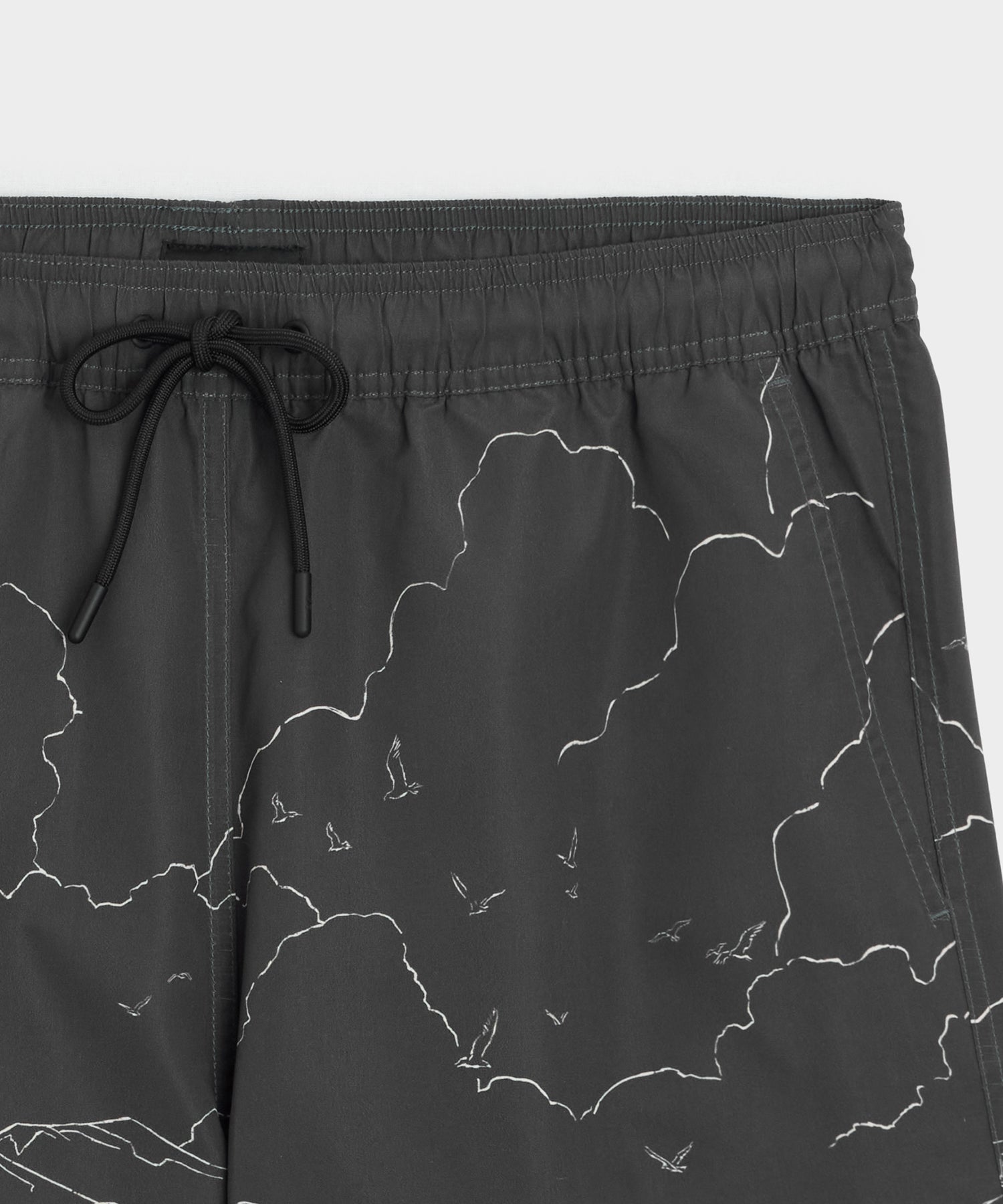 Todd Snyder 5" Montauk Swim Trunk in Black Black