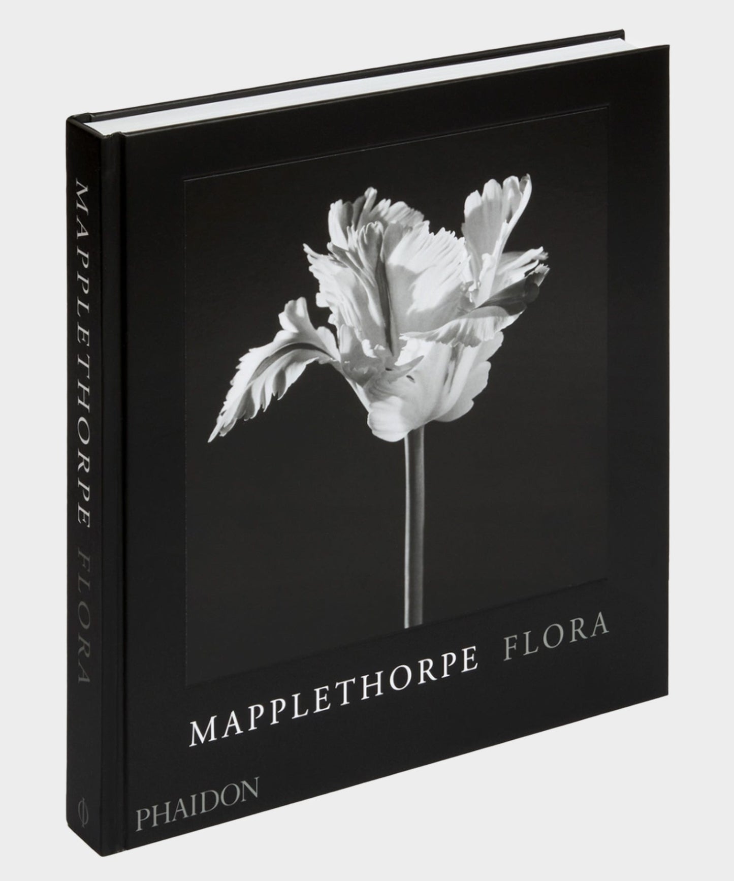 Todd Snyder Phaidon "Mapplethorpe Flora: The Complete Flowers" Book Multi