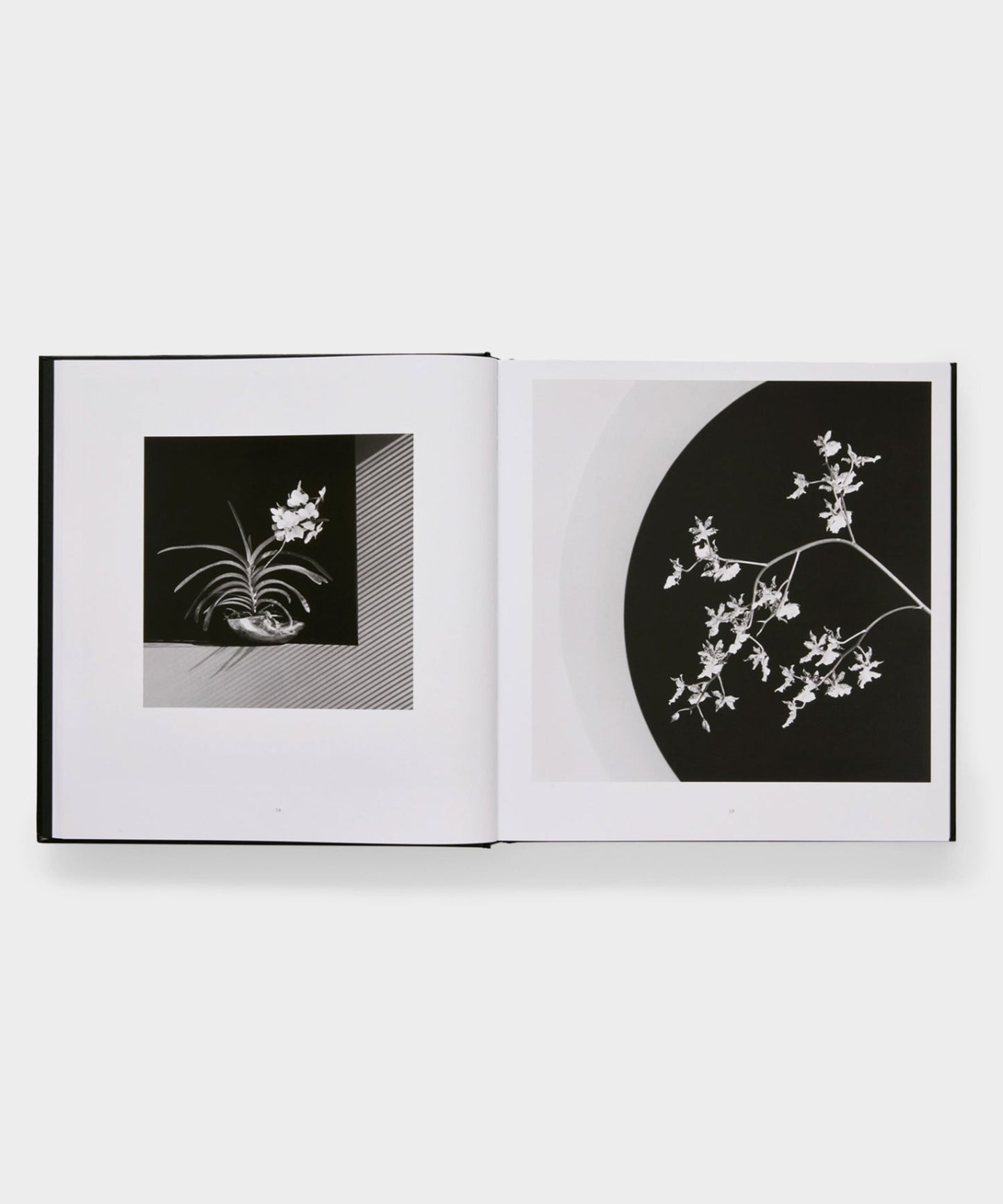 Todd Snyder Phaidon "Mapplethorpe Flora: The Complete Flowers" Book Multi
