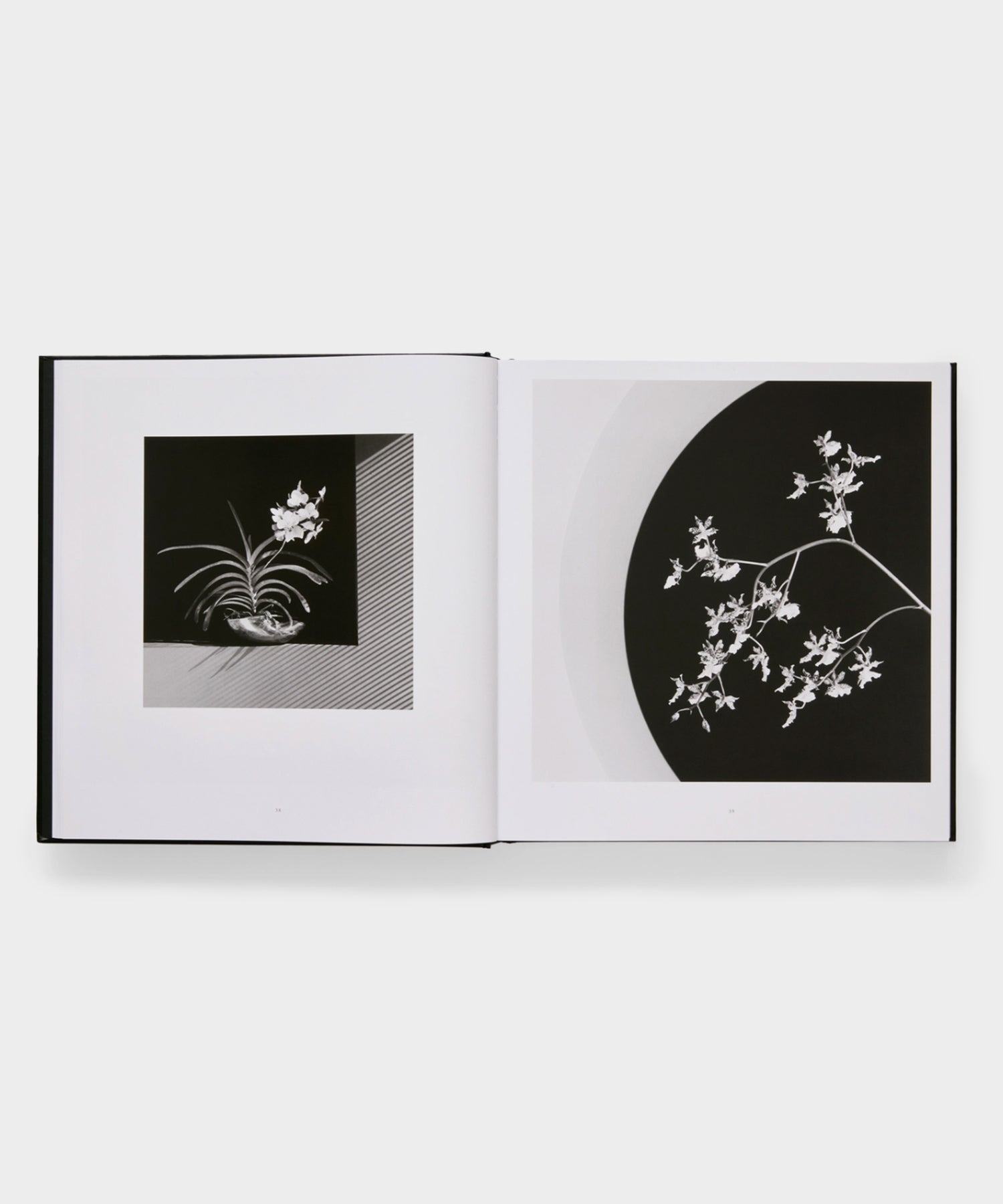 Todd Snyder Phaidon "Mapplethorpe Flora: The Complete Flowers" Book Multi