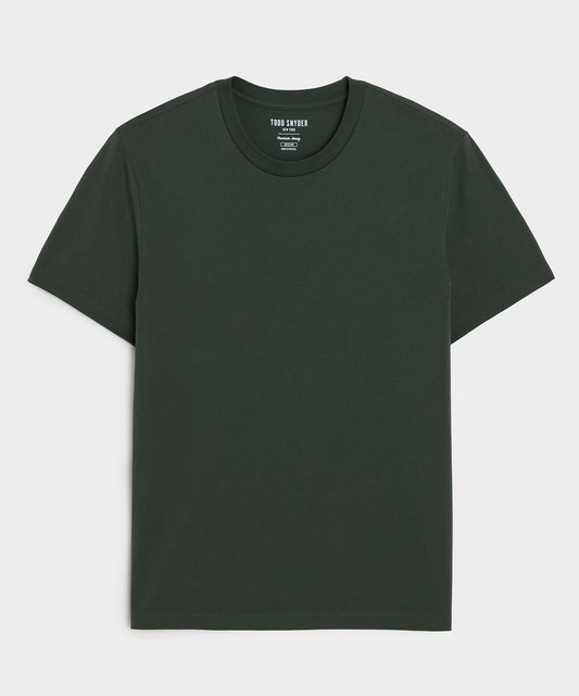 Todd Snyder Premium Jersey Tee in Pinetop Pinetop