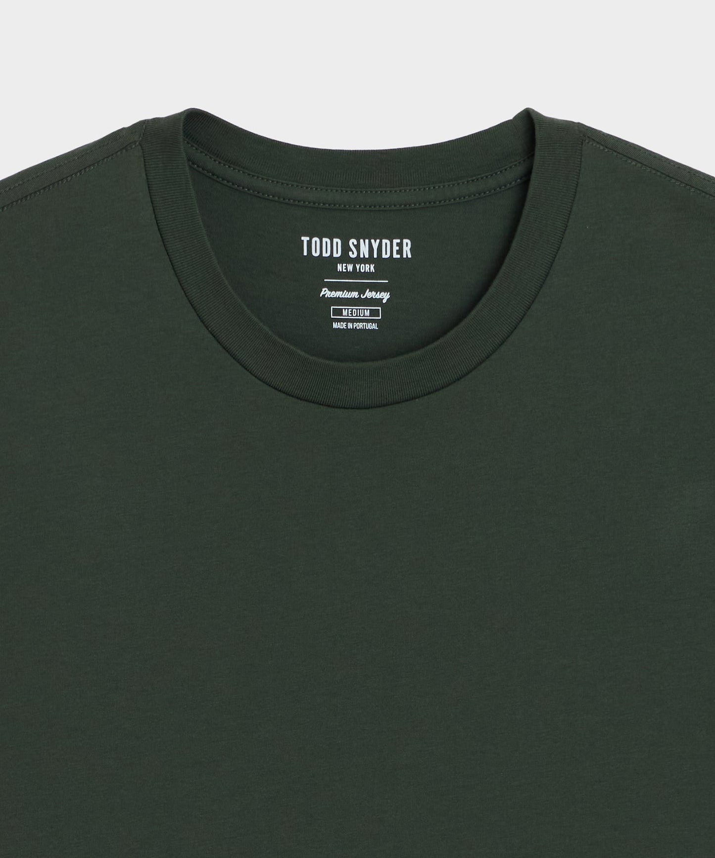 Todd Snyder Premium Jersey Tee in Pinetop Pinetop